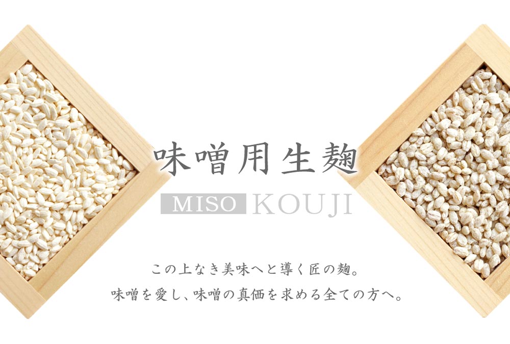 麦麹 500ｇ | 野州吟醸味噌｜2倍麹の最高級味噌・通販